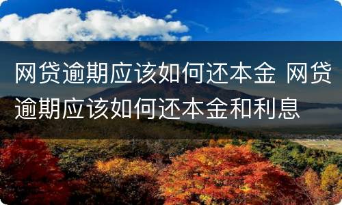 网贷逾期应该如何还本金 网贷逾期应该如何还本金和利息