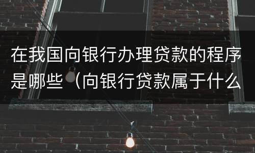 在我国向银行办理贷款的程序是哪些（向银行贷款属于什么贷款）