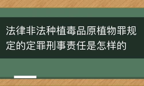 法律非法种植毒品原植物罪规定的定罪刑事责任是怎样的