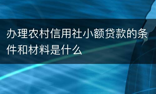 办理农村信用社小额贷款的条件和材料是什么