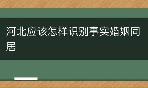 河北应该怎样识别事实婚姻同居