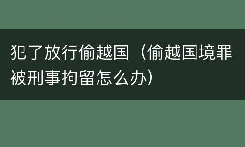 犯了放行偷越国（偷越国境罪被刑事拘留怎么办）