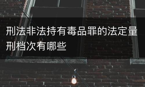 刑法非法持有毒品罪的法定量刑档次有哪些