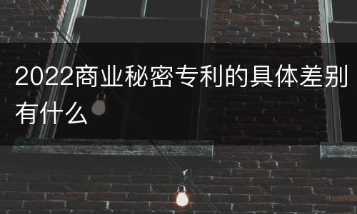 2022商业秘密专利的具体差别有什么