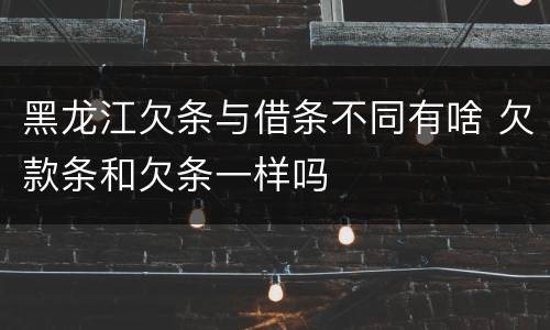 黑龙江欠条与借条不同有啥 欠款条和欠条一样吗