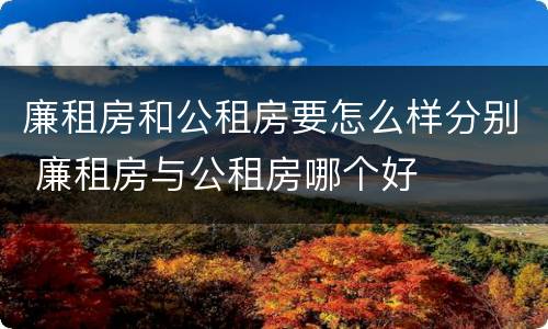 廉租房和公租房要怎么样分别 廉租房与公租房哪个好