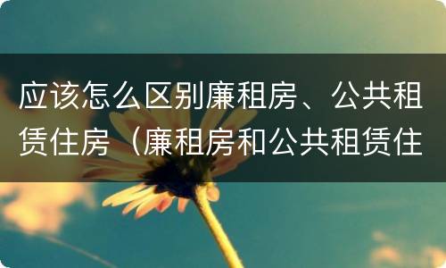 应该怎么区别廉租房、公共租赁住房（廉租房和公共租赁住房）