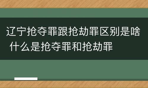 辽宁抢夺罪跟抢劫罪区别是啥 什么是抢夺罪和抢劫罪