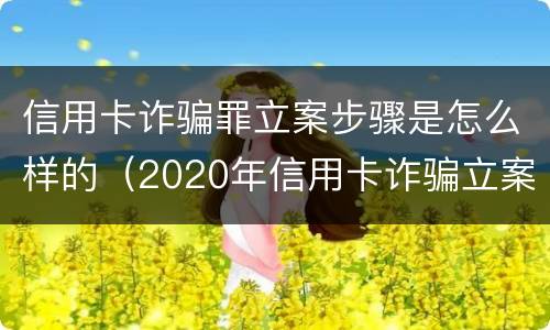 信用卡诈骗罪立案步骤是怎么样的（2020年信用卡诈骗立案标准）