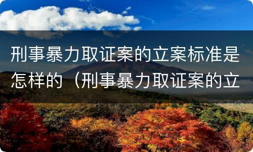 刑事暴力取证案的立案标准是怎样的（刑事暴力取证案的立案标准是怎样的呢）