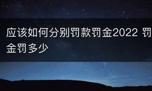 应该如何分别罚款罚金2022 罚金罚多少