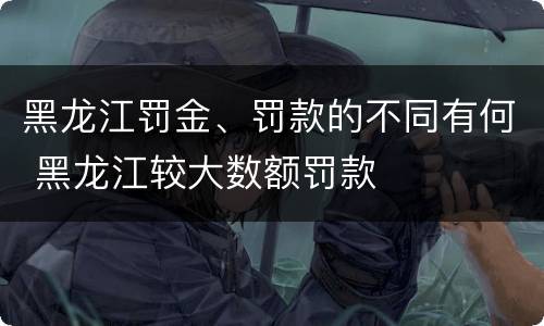 黑龙江罚金、罚款的不同有何 黑龙江较大数额罚款