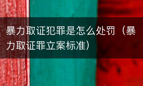 暴力取证犯罪是怎么处罚（暴力取证罪立案标准）