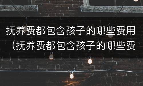 抚养费都包含孩子的哪些费用（抚养费都包含孩子的哪些费用和费用）