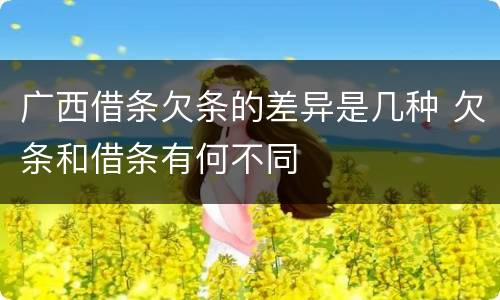 广西借条欠条的差异是几种 欠条和借条有何不同