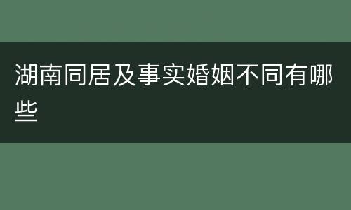 湖南同居及事实婚姻不同有哪些