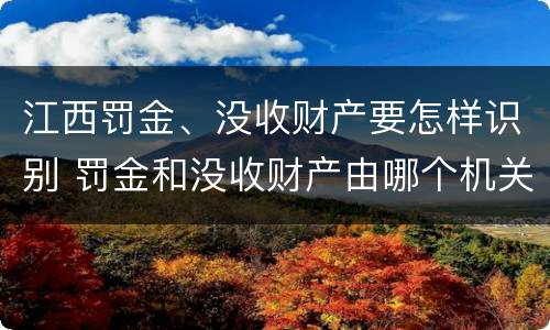 江西罚金、没收财产要怎样识别 罚金和没收财产由哪个机关执行