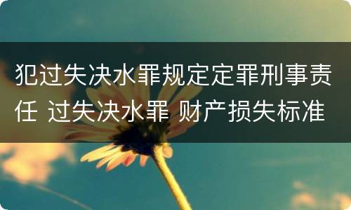 犯过失决水罪规定定罪刑事责任 过失决水罪 财产损失标准