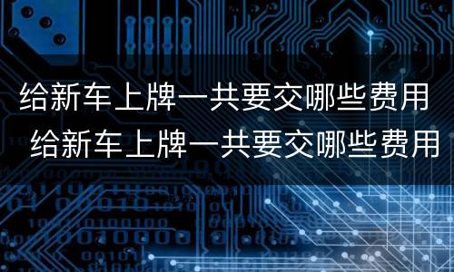 给新车上牌一共要交哪些费用 给新车上牌一共要交哪些费用和手续费