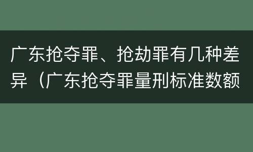 广东抢夺罪、抢劫罪有几种差异（广东抢夺罪量刑标准数额）