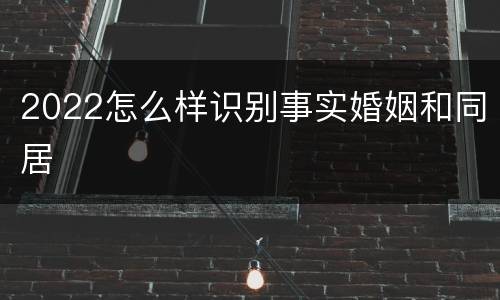 2022怎么样识别事实婚姻和同居