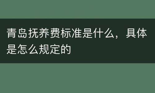 青岛抚养费标准是什么，具体是怎么规定的