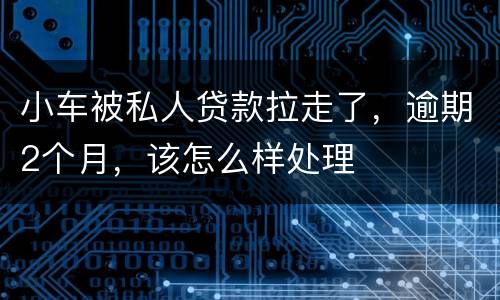 小车被私人贷款拉走了，逾期2个月，该怎么样处理