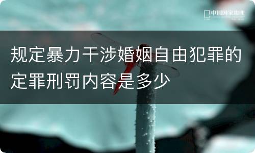 规定暴力干涉婚姻自由犯罪的定罪刑罚内容是多少