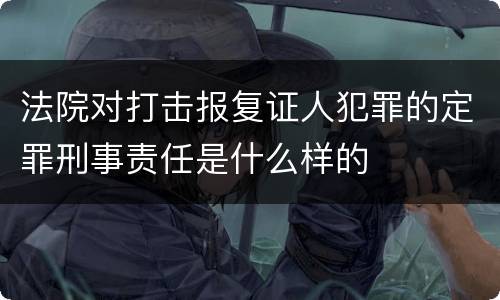 法院对打击报复证人犯罪的定罪刑事责任是什么样的