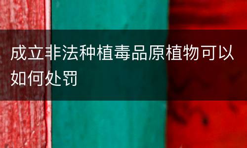 成立非法种植毒品原植物可以如何处罚