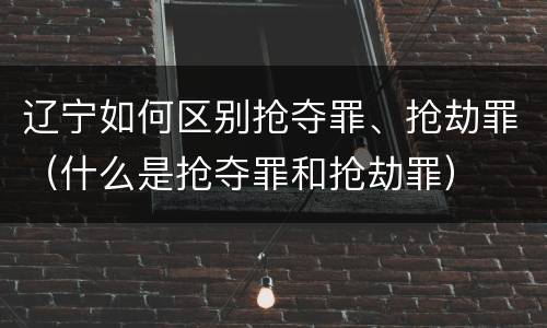 辽宁如何区别抢夺罪、抢劫罪（什么是抢夺罪和抢劫罪）