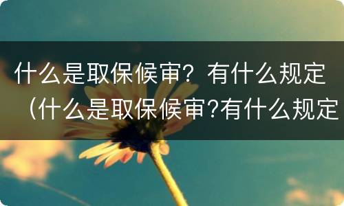 什么是取保候审？有什么规定（什么是取保候审?有什么规定呢）