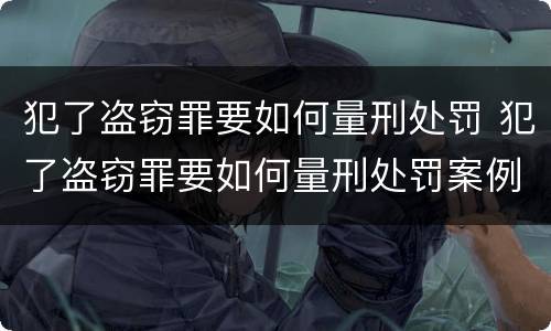 犯了盗窃罪要如何量刑处罚 犯了盗窃罪要如何量刑处罚案例