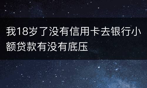 我18岁了没有信用卡去银行小额贷款有没有底压