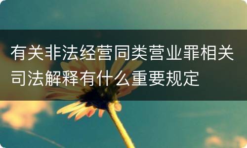 有关非法经营同类营业罪相关司法解释有什么重要规定