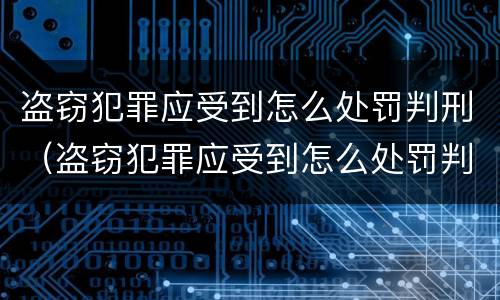 盗窃犯罪应受到怎么处罚判刑（盗窃犯罪应受到怎么处罚判刑案例）