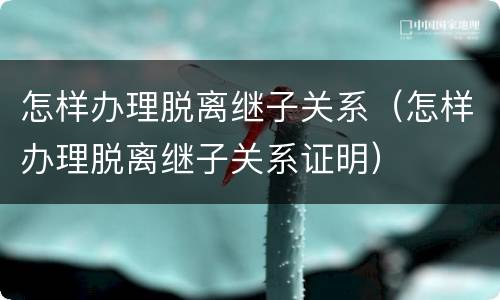 怎样办理脱离继子关系（怎样办理脱离继子关系证明）