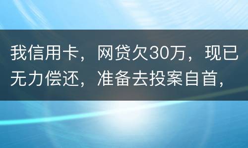 我信用卡，网贷欠30万，现已无力偿还，准备去投案自首，大概会判多少年