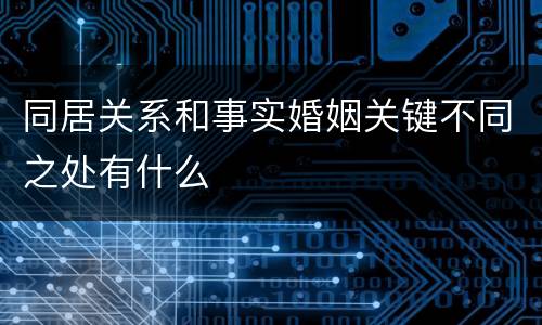 同居关系和事实婚姻关键不同之处有什么