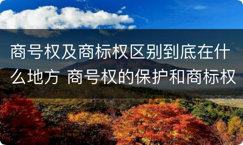 商号权及商标权区别到底在什么地方 商号权的保护和商标权的保护一样是全国性范围的