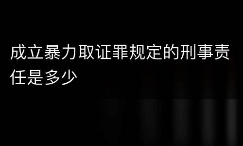 成立暴力取证罪规定的刑事责任是多少