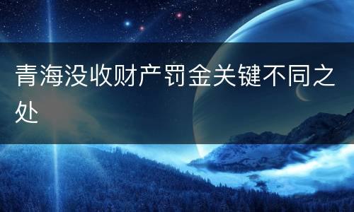 青海没收财产罚金关键不同之处