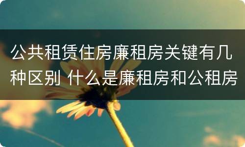 公共租赁住房廉租房关键有几种区别 什么是廉租房和公租房两个有什么特点