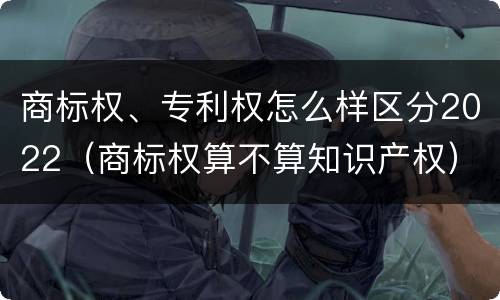 商标权、专利权怎么样区分2022（商标权算不算知识产权）