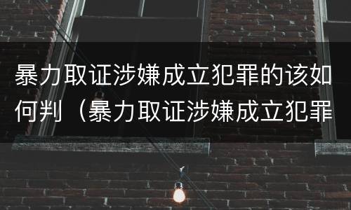 暴力取证涉嫌成立犯罪的该如何判（暴力取证涉嫌成立犯罪的该如何判刑）