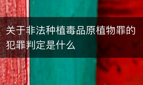 关于非法种植毒品原植物罪的犯罪判定是什么