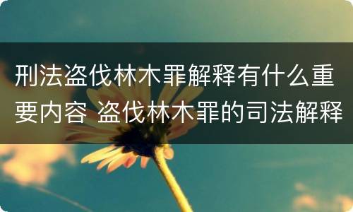 刑法盗伐林木罪解释有什么重要内容 盗伐林木罪的司法解释