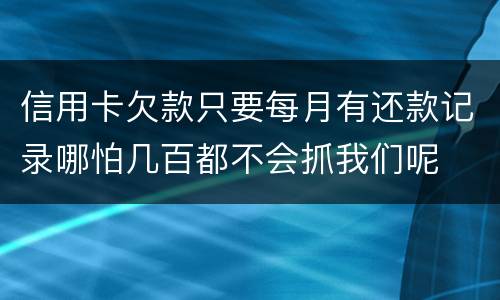 信用卡欠款只要每月有还款记录哪怕几百都不会抓我们呢