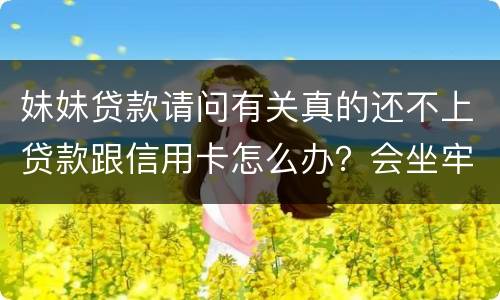 妹妹贷款请问有关真的还不上贷款跟信用卡怎么办？会坐牢