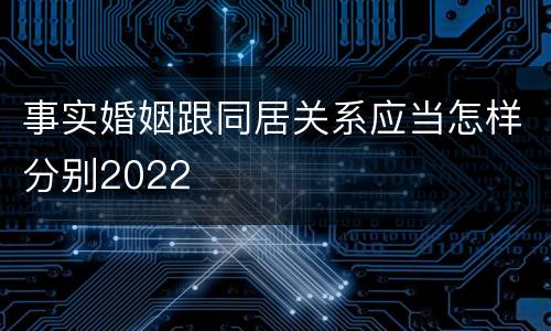 事实婚姻跟同居关系应当怎样分别2022